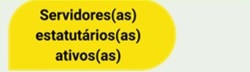 Icones Servidores Ativos